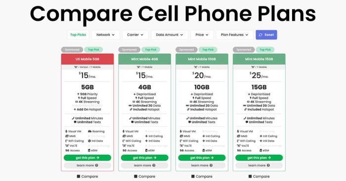 Grace is comparing cell phone plans