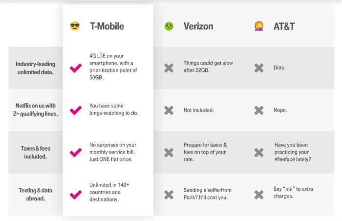 Grace is comparing cell phone plans