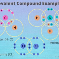 Properties of covalent bonds pogil