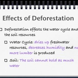 Ap environmental science unit 1 test pdf