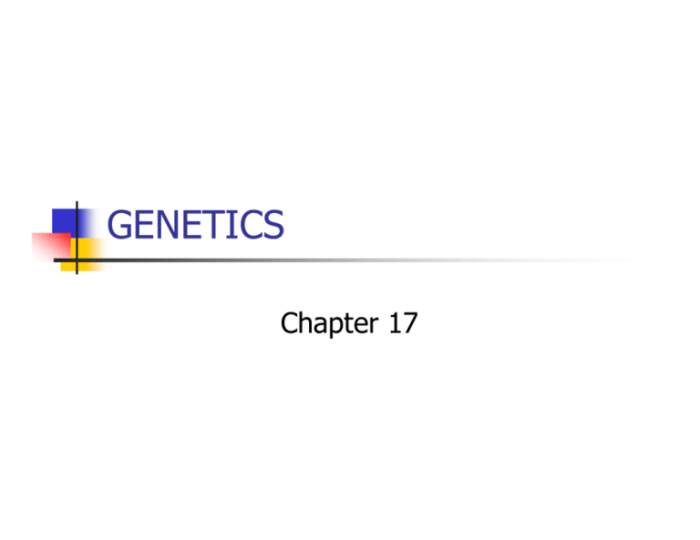 Generation genius genes and mutations answer key