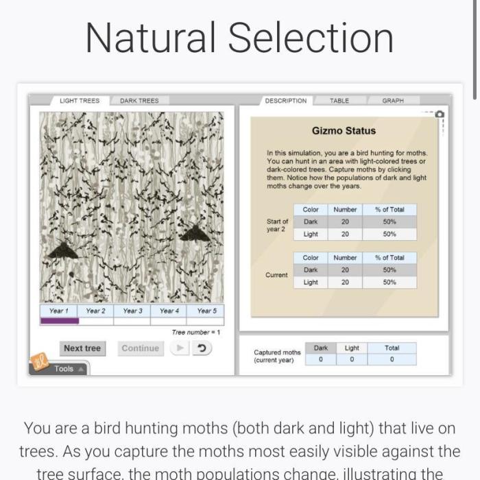 Evolution mutation and selection gizmo answers